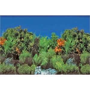 SuperFish Deco Poster Rots / Plant 120X61cm