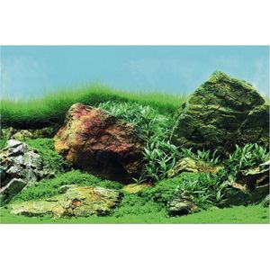 Superfish - Deco Poster - Achtergrondposter - Groen - 120 x 49 cm