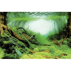 Superfish Deco Poster - Aquarium - Ornament - 150x61 cm Aquascape Plant