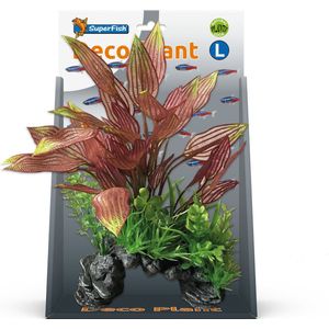 Superfish Deco Plant L Henkelianus