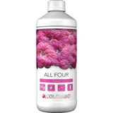 Colombo Marine All Four