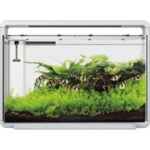 Superfish Home 65 aquarium wit