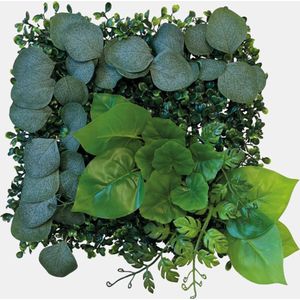 Repto Plant Achterwand Mat 1