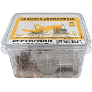 Reptofood Reptofood Sprinkhanen Bakje M