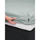 Hoeslakens - Wit - Katoen - 1 Stuk