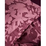 Essenza - Imara Dekbedovertrek - Burgundy - Katoen-Perkal