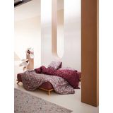 ESSENZA - Aleste - Dekbedovertrekset - Mauve - Katoen Satijn - 260 x 220 cm