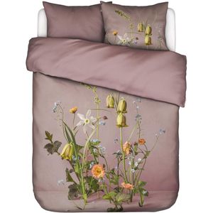 Essenza Ficaria Dekbedovertrek 260x200/220 Woodrose