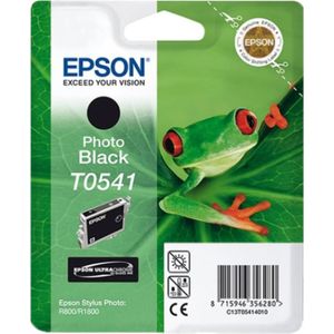 Epson T0541 (Sticker resten) foto zwart (C13T05414010) - Inktcartridge - Origineel