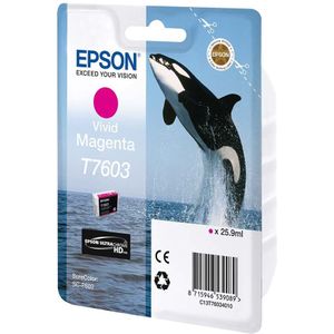 Epson C13T76034010 T7603 levendige inktcartridge, Magenta, echte, Amazon Dash aanvulling klaar