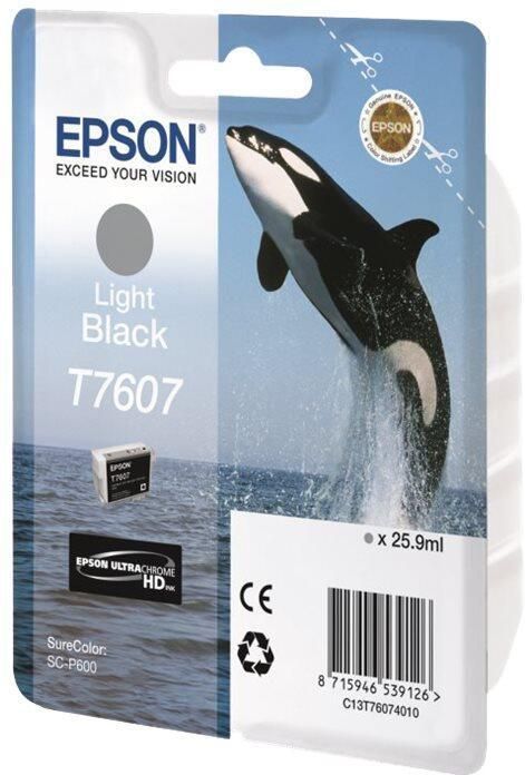 Epson Inktcartridge C13T76074010 Licht-zwart