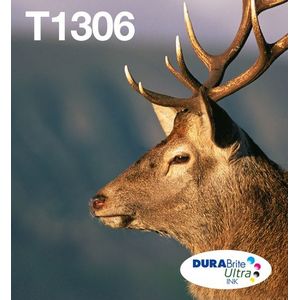 Epson Stag T1306 inktcartridge 3 stuk(s) Origineel Hoog (XL) rendement Cyaan, Magenta, Geel