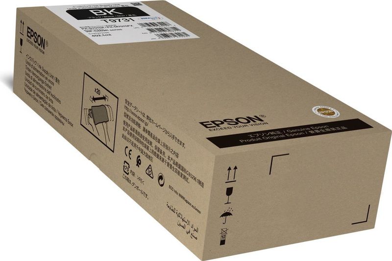 Epson Inktcartridge T9731 Zwart Hoge capaciteit