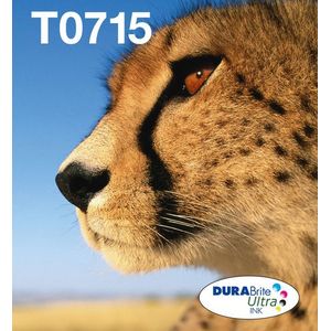 Epson T071 inktcartridge 1 stuk(s) Origineel Normaal rendement Zwart, Cyaan, Magenta, Geel