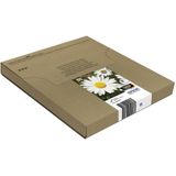 Epson 18 (T1806) multipackzwart + 3 kleuren Inktcartridge (origineel)