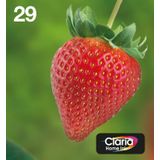 Epson Multipack 4-Kleuren 29 EasyMail
