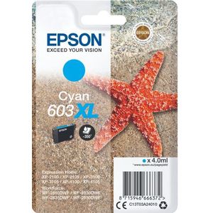 Original Ink Cartridge Epson C13T03A24020