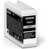 Epson - Singlepack Gray T46S7 - Inkt - 25ml