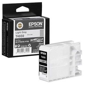 Epson Singlepack Light Gray T46S9 UltraChrome Pro 10 ink 25ml