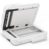 Epson - WorkForce DS-1760WN - Documentenscanner - USB - WiFi - 30 pagina's per minuut - ADF tot 60 vellen