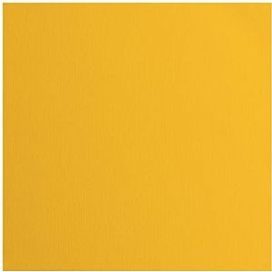 Vaessen Creative Florence Cardstock papier, 216 g/m², vierkant, 30,5 x 30,5 cm, 20 stuks, voor scrapbooking, kaarten maken, snijden en andere knutselwerkzaamheden van papier