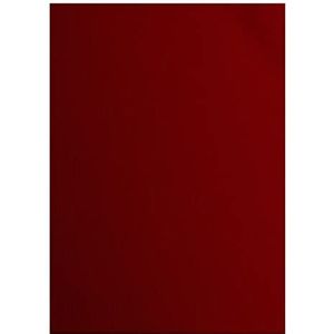 Vaessen creative Florence karton papier, rood (robijn), 216 g, A4, 10 vel, gestructureerd oppervlak, om te schilderen, scrapbooking en meer, Eén maat
