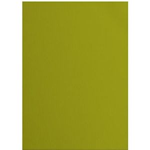 Vaessen Creative 2928-072A4 Florence Cardstock papier, groen, 216 gram/m², DIN A4, 10 stuks, textuur, voor scrapbooking, kaarten maken, ponsen en ander papierknutselwerk