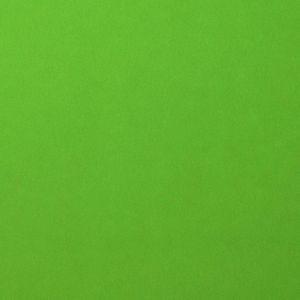 Karton - Cardstock - Gladde Afwerking - A4 - frog - Groen - 216 grams - Florence - 10 vellen