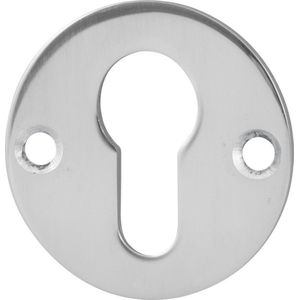 Cilinderrozet 50x2mm RVS gepolijst