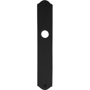 GPF Schild 238x41x4mm WC55/8 smeedijzer