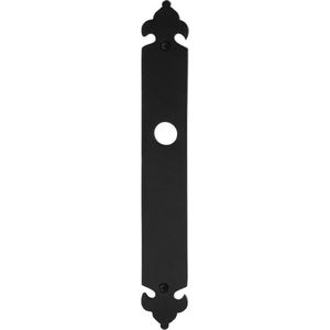 GPF Gatdeel langschild 291x41x4mm BB56 smeedijzer