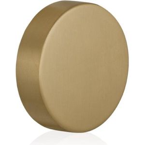 Excentrische knop 60x16mm PVD mat messing tbv VH-schilden vast incl. bout M10