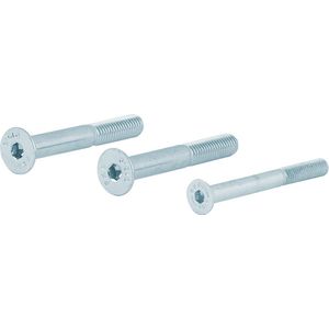 Bevestiging - Gegalvaniseerd - Staal verzinkt - GPF - AG0334 bevestigingsset PK din7991 10.9 t.b.v. deurdikte tot 54mm
