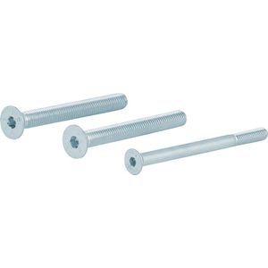 Bevestiging - Gegalvaniseerd - Staal verzinkt - GPF - AG0337 bevestigingsset PK din7991 10.9 t.b.v. deurdikte tot 84mm