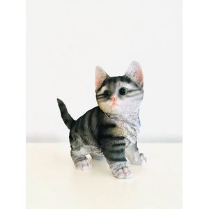 Katje - kat - poes - kitten in polyester - polystone - zwart - blond - grijs - hoogkwalitatieve kunststof - tuinbeeld - decoratie figuur -  decoratie voor binnen en buiten - cadeau - geschenk - relatiegeschenk - cadeautje