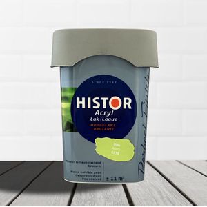 Histor Perfect Finish Lak Acryl Hoogglans 0,75 liter - Dille