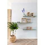 Histor Monodek Muurverf Mat - dekt in 1 laag - afwasbaar - Geschikt voor Binnen - 2,5 liter - Wit