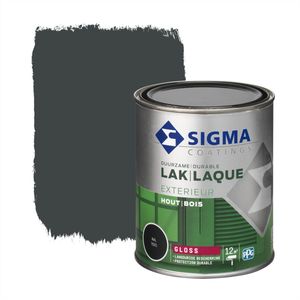 Sigma Exterieur Lak Ral7021 Hoogglans 750 Ml