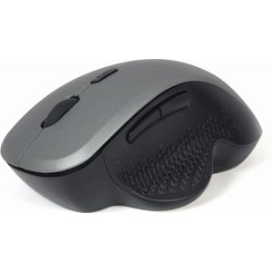 Gembird MUSW-6B-02-BG - Muis - 2.4 GHz - Zwart Ruimte Grijs - Muis - Optisch - 6 knoppen - Zilver