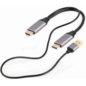 Gembird - Gembird HDMI Male naar DisplayPort Male Actieve Adapterkabel 2m voor 4K Kabel