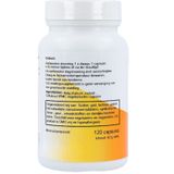 Ortholon Jodiol Tabletten 120 st