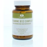 Van Der Pigge Vitamine B12 complex  90 zuigtabletten