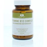 Van Der Pigge Vitamine B12 complex  90 zuigtabletten