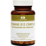 Van Der Pigge Vitamine B12 complex  90 zuigtabletten