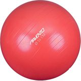 Avento Fitness/Gymbal - Ø 55cm - Roze