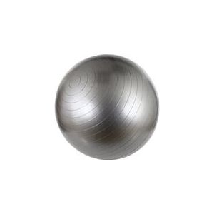 Avento Fitness/Gymbal - Ø 55cm - Zilver