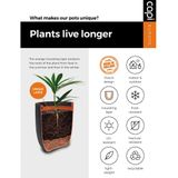 Capi Blumentopf Nature Rib Quadratisch 50 x 50 cm Elfenbeinfarben