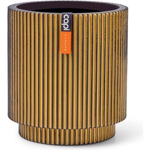 Capi Vaas Cilinder Groove 15x17cm Goud | Potten & vazen