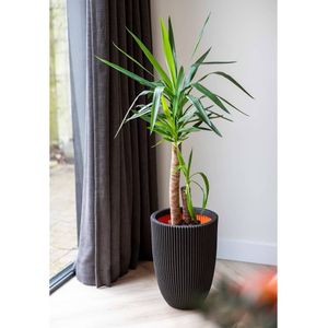 Capi Bloempot Groove elegant 46x58 cm zwart