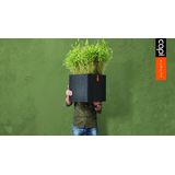 Capi Europe plantenbak Lux Terrazzo zwart 50 x 50 x 50 cm